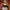 SKIN1004 PACK REPARA Y FORTALECE