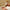SKIN1004 Madagascar Centella Doble Limpieza
