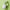 Mixsoon Centella Cleansing Water 300ml
