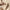 Centellian24+ Madeca Wrinkle Capture Stick