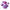 Eqqualberry Bakuchiol Plumping Serum 30ml