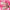 Essence The ROSE Edition Eyeshadow Palette 20 Lovely In Rose