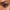 Essence Long-Lasting Eye Pencil