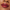 Essence Hydra Kiss Lip Tint