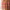Essence 8h MATTE Comfort Lipliner
