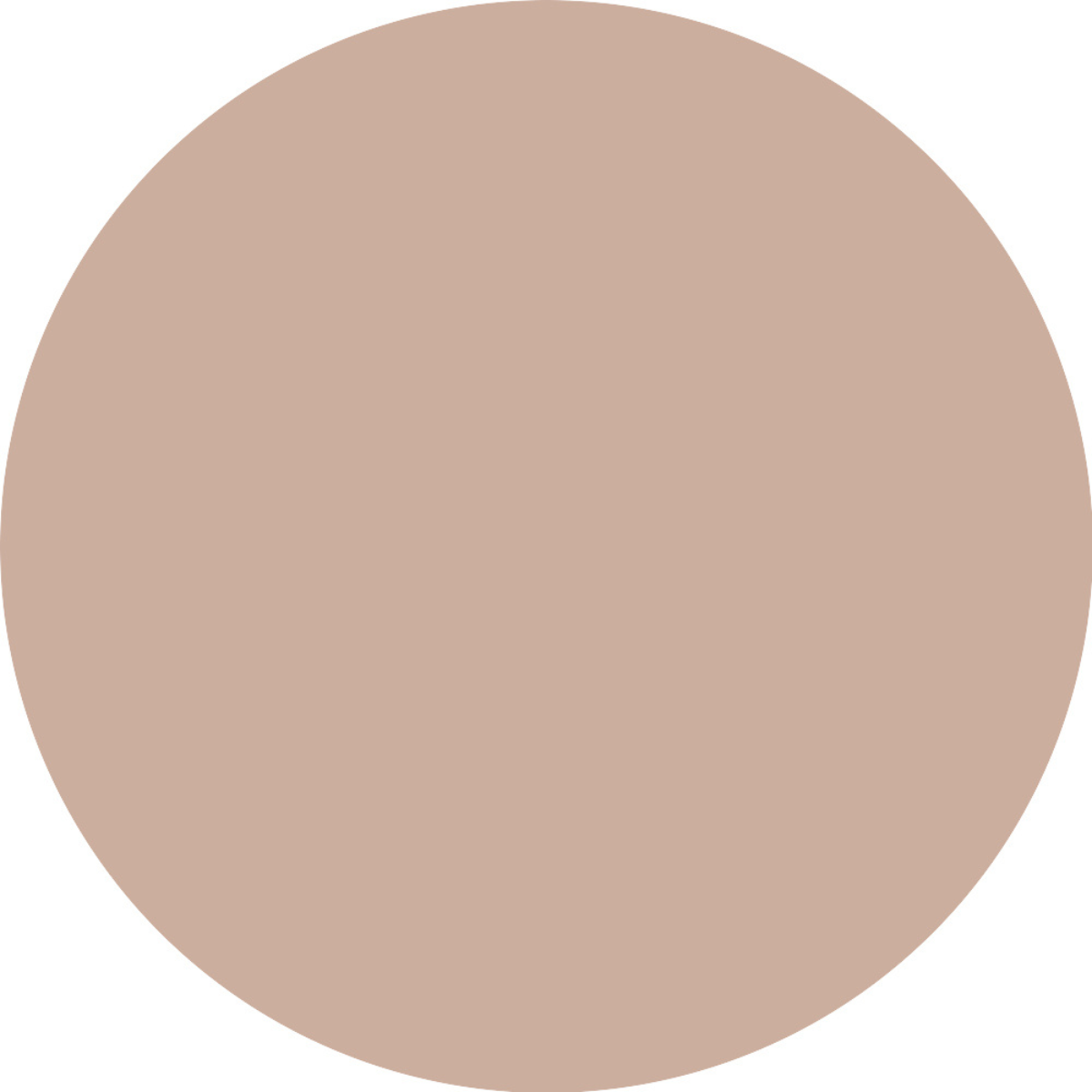 Essence CAMOUFLAGE+ MATTE Concealer