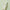 Anua Pore Control Cleansing Oil 200ml