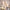 Catrice Base Soft Glam Filter Stick