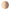 CATRICE SOMBRAS The Pure Nude Eyeshadow Palette