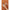 Skin1004 Madagascar Centella Probio-Cica Intensive Ampoule 50ml