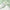 Skin1004 Madagascar Centella Tea-Trica Bha Foam 125ml
